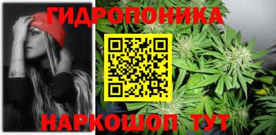 дурь Гагарин