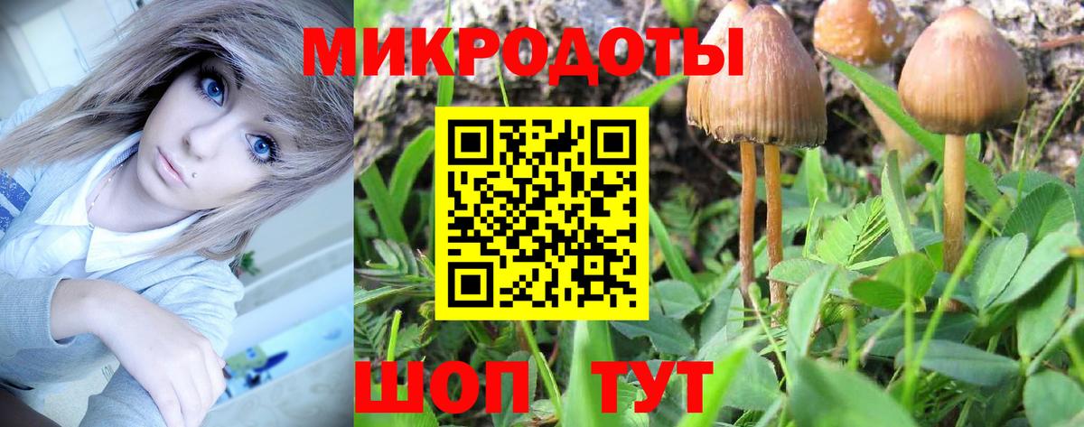Псилоцибиновые грибы мухоморы Кушва